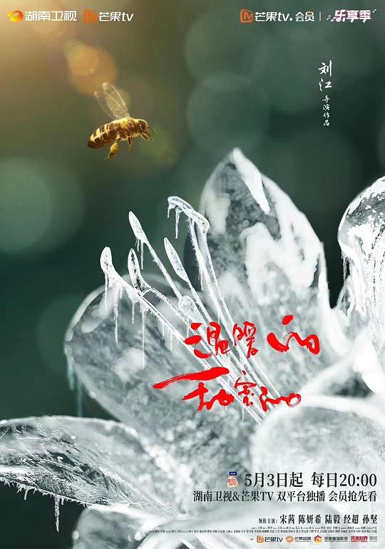 网友昵称：访客